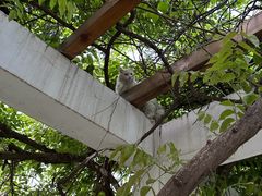 -山东大学(趵突泉校区)