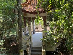 -铁山坪森林公园