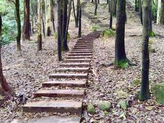 -火炉山森林公园