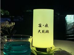 -天目湖山水园