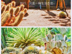 -马洛雷勒花园