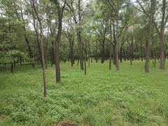 -森林公园(尖草坪区)