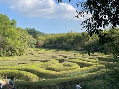 -大屏嶂森林公园