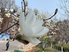 -大连植物园