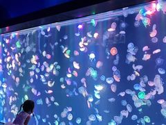 -海合安成都极地海洋公园