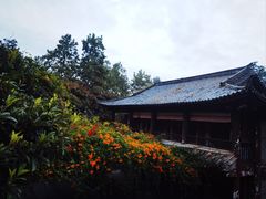 -天龙八部武侠城