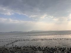 -深圳湾公园(南山区)