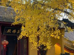 -南山风景名胜区