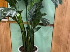 -解家河南菜(农业路店)