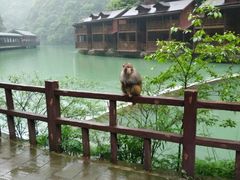 -神龙峡风景区