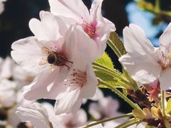 -象山小白象海鲜面