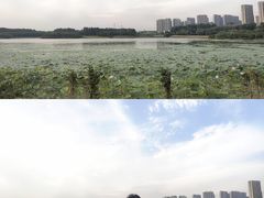-丁香湖公园