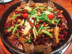 -老板恋上鱼(振华商厦店)