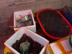 -小田油焖小龙虾(双井店)