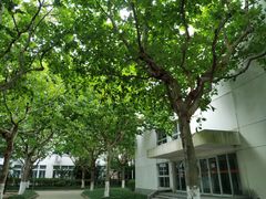 -上海第二工业大学(金海路校区)
