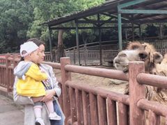 -无锡动物园·太湖欢乐园