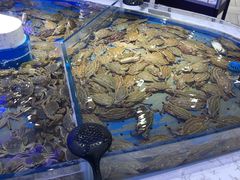 螃蟹-澜悦港海鲜体验主题餐厅