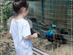 -柞水乾佑红门家菜