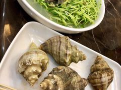海螺-蚝专家(北滘店)