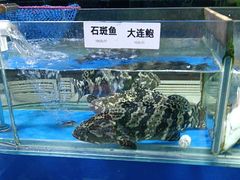 -张树军海鲜(王府壹号店)