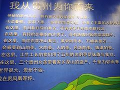 -贵凤凰贵州米粉(望京店)