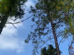 -美兰湖景区