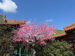 -珠海圆明新园