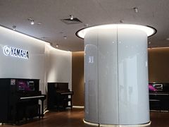 -雅马哈乐器专卖店(广州旗舰店)