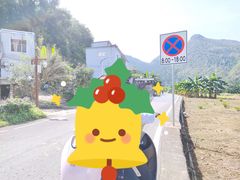 -万峰林风景区