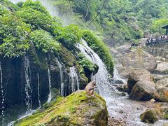 -三峡人家风景区