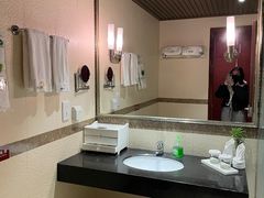 -雅安楠水阁温泉酒店