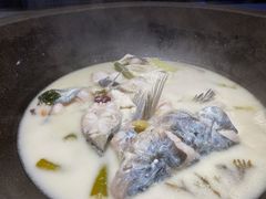 -鲜潭蒸汽石锅鱼(五道口购物中心店)