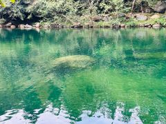 -石台牯牛降景区
