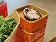 鲜活石头鲍-海底捞大排档火锅(打浦路店)
