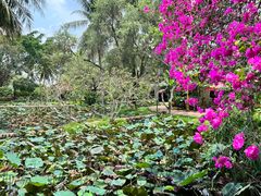 -Mekong Rest Stop