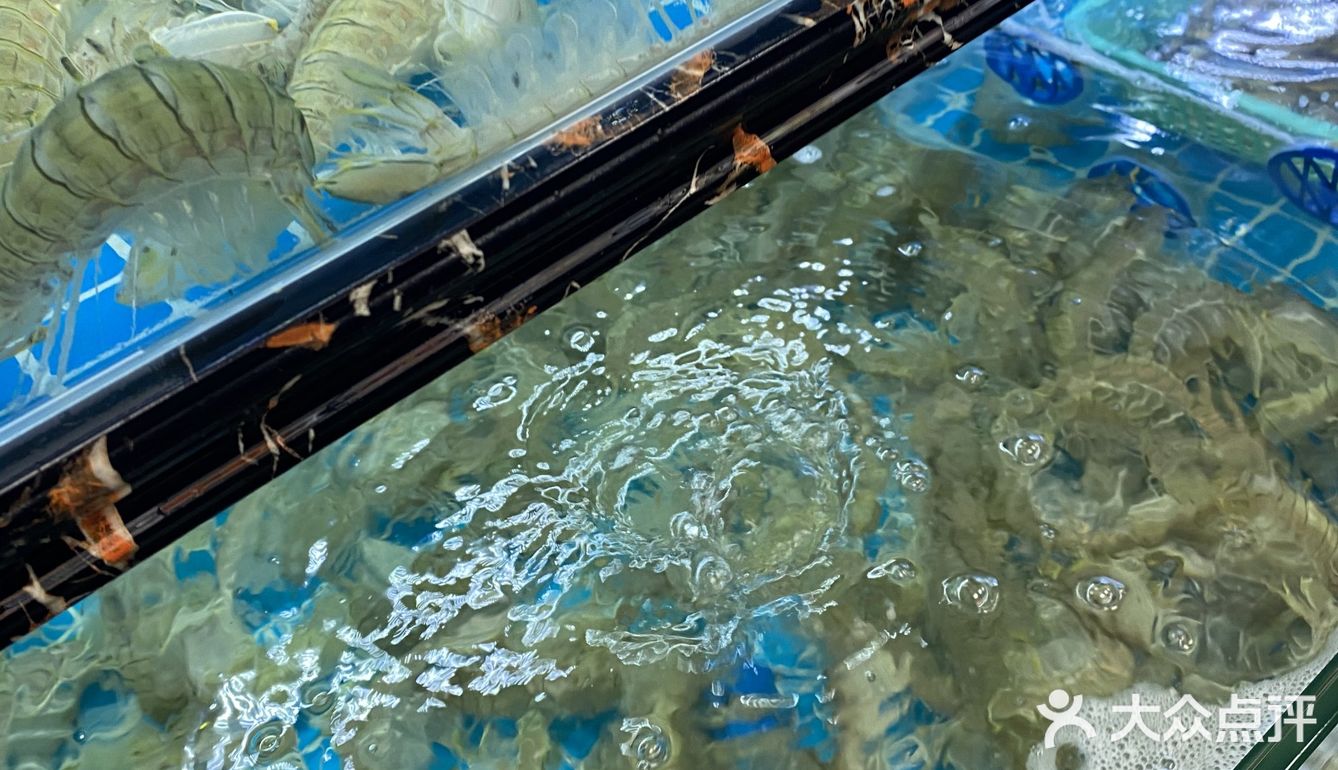 是二十三年老字号海鲜店。做了很多攻略