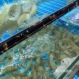 是二十三年老字号海鲜店。做了很多攻略