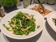 鲜腐竹拌三叶香-悦融·京鲁菜·露台花园(安定门店)