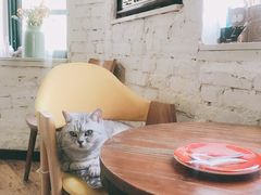 大堂-不舍昼夜咖啡馆