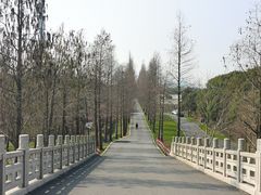 -广富林郊野公园