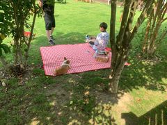 -太阳岛度假酒店