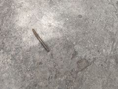 -碓臼峪自然风景区