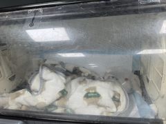 -宠欣安宠物医院·包河区中心医院