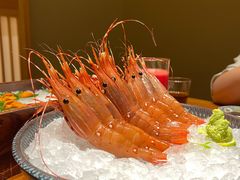 -月龍吟(朝龙汇店)
