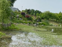 -云水涧亲子度假酒店