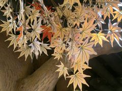 -城墙拐拐火锅(三峡广场黑金冠店)