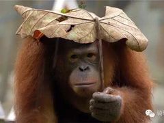 iphone_upload_pic-聚宝渔港.五钻酒家(上地店)