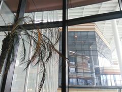 -L'Arome芳芳法国餐厅(仙林金鹰店)