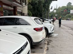 -稻香村鱼庄