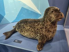 -国家自然博物馆